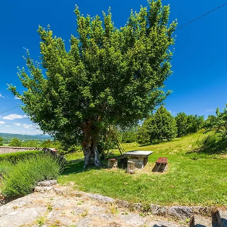 Ucka In Istria