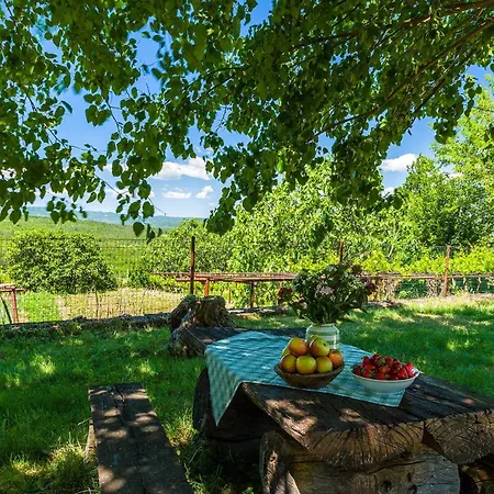 Διαμέρισμα Ucka In Istria
